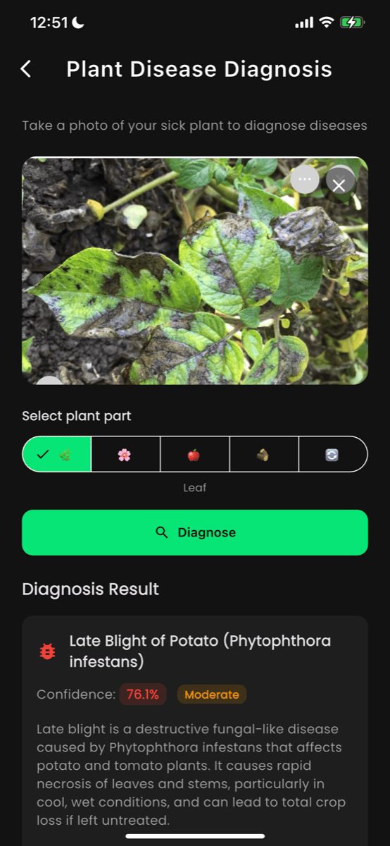 Disease Diagnosis Screen