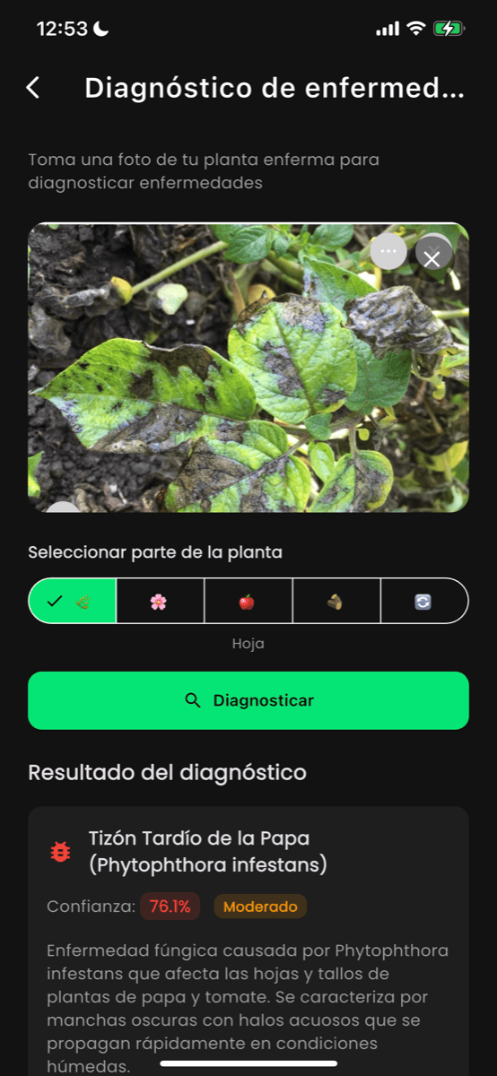 Pantalla de diagn&oacute;stico