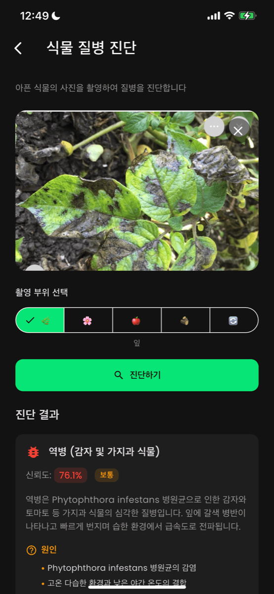 질병 진단 화면