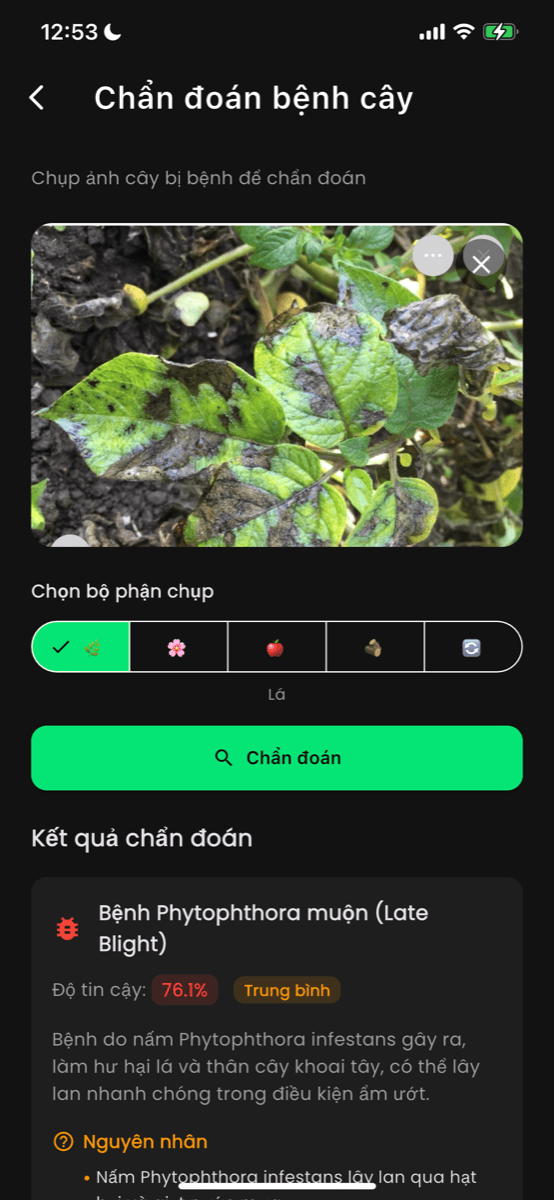 Chẩn đoán bệnh