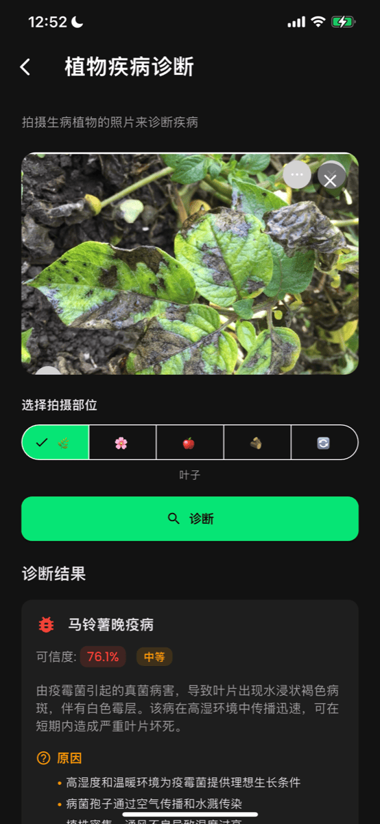 病害诊断