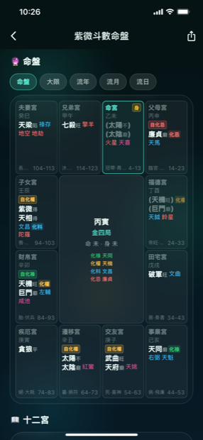 紫微斗数命盘