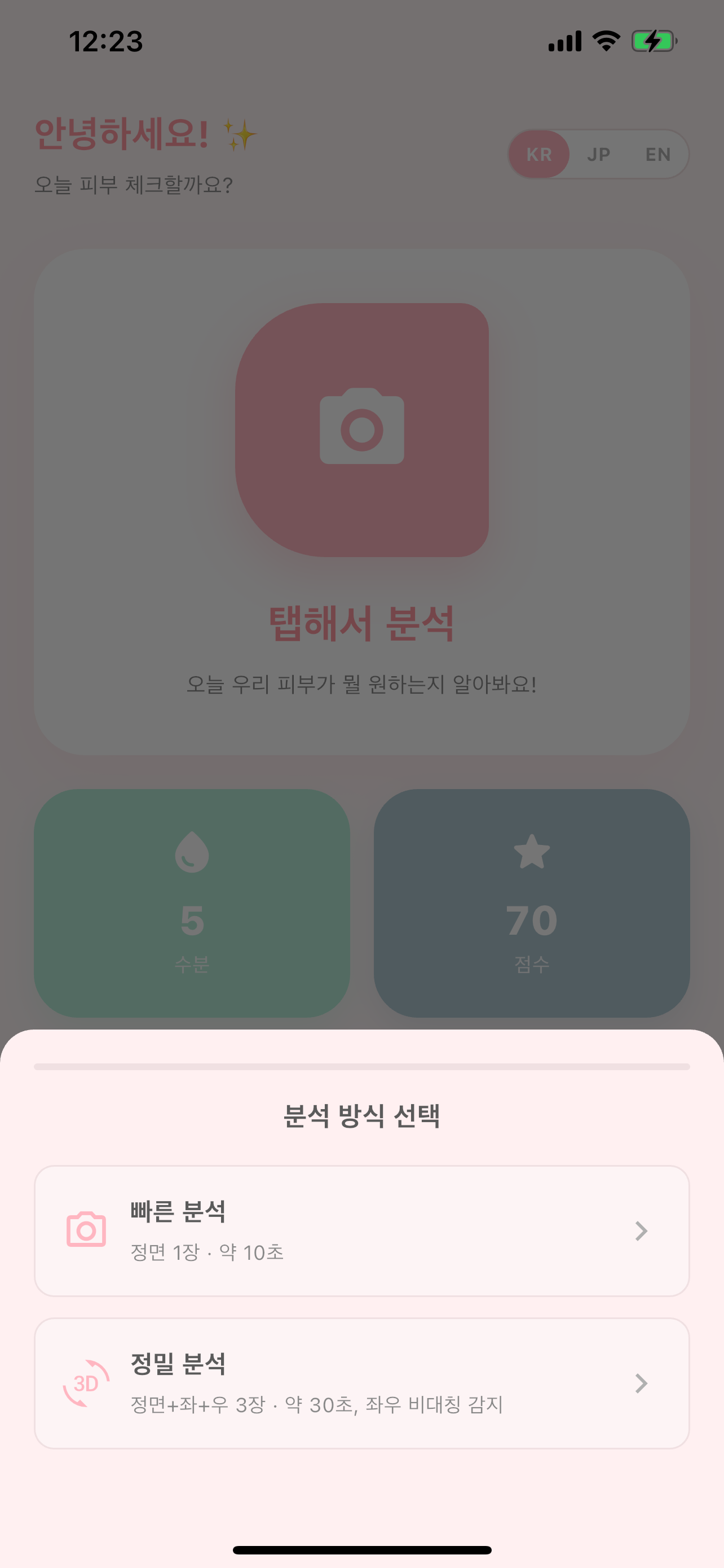 분석 방식 선택